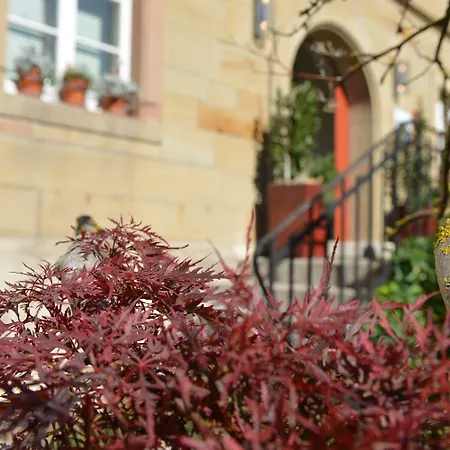 Hotel Mittermeier, Hotellerie & Restaurant Rothenburg ob der Tauber